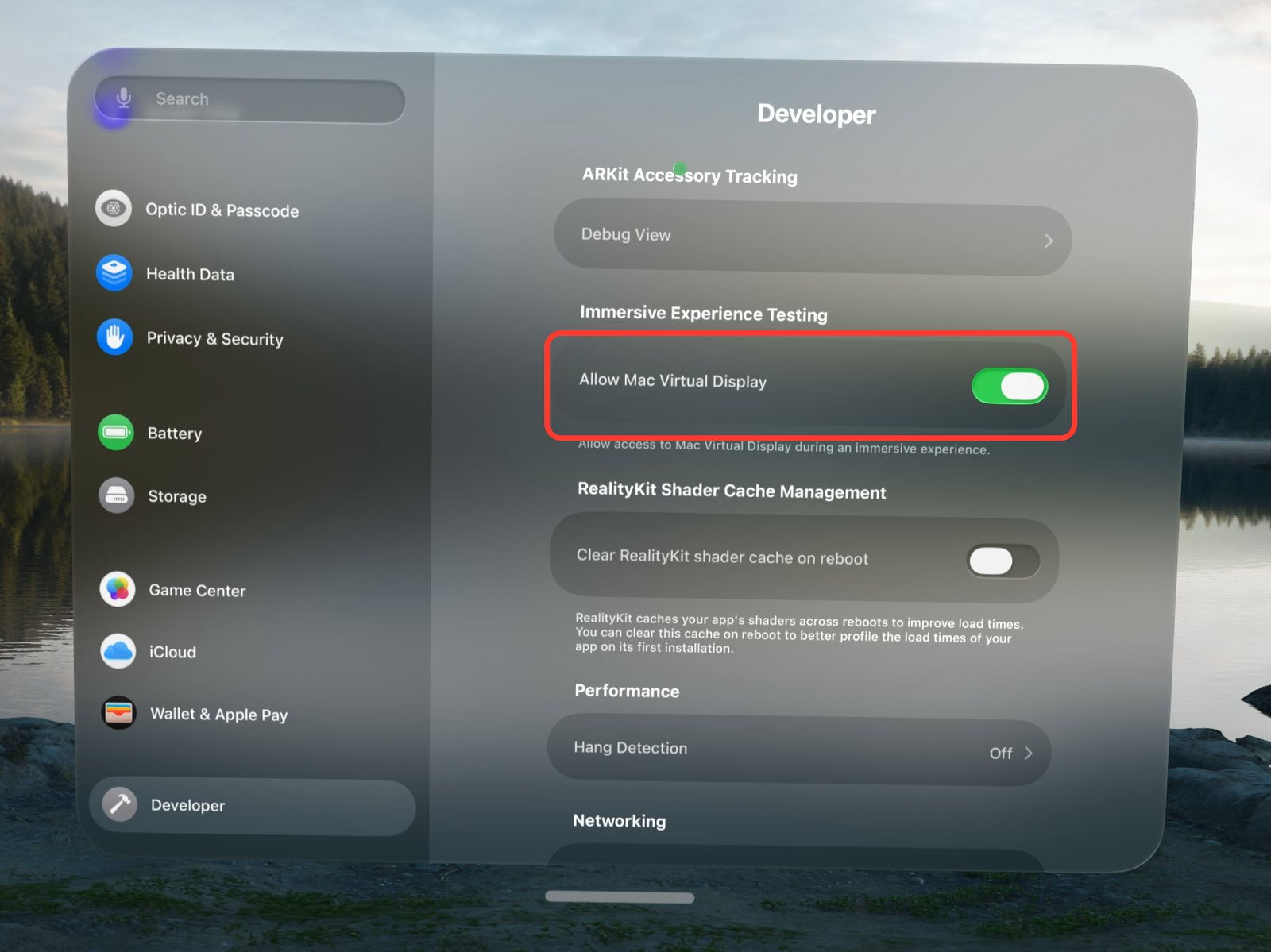 Developer settings on Apple Vision Pro with Allow Mac Virtual Display turned on under Immersive Experience Testing